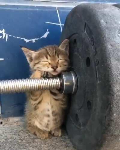 Записался я в качалку...