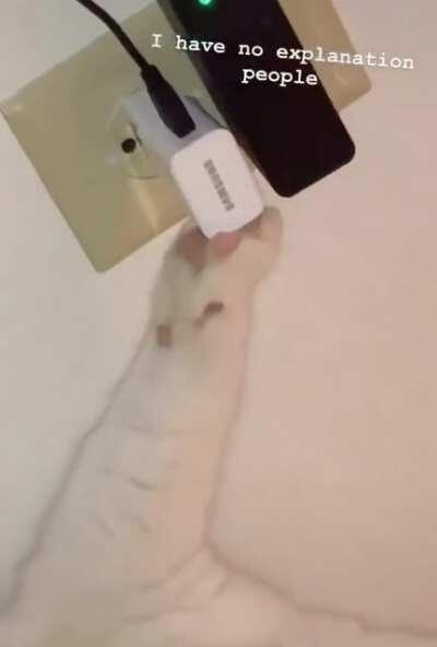 Charging up to connect to the alien world