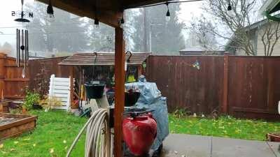 It rained very hard today.