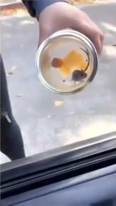 Everything is fun and games until...