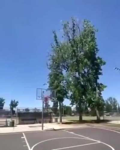 Fuck man that was brutal