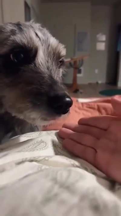 Awww, that noise ❣️