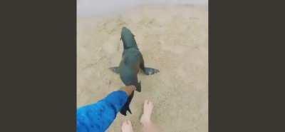 You did not just&hellip;