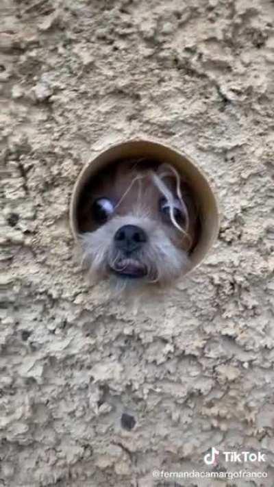 Gabriela go back inside