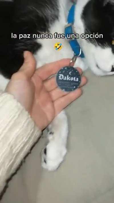 Para que no te roben la chapita