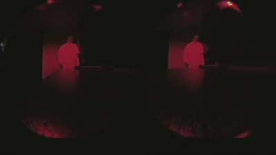 Schlatt's job internship