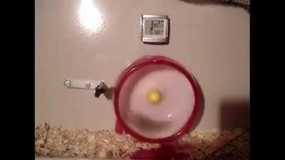 Server hamsters the second the update hit - Edited