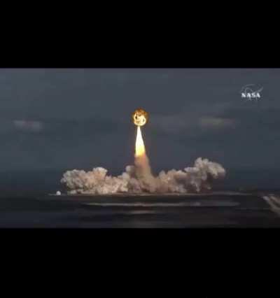 Papa Elon did it again!