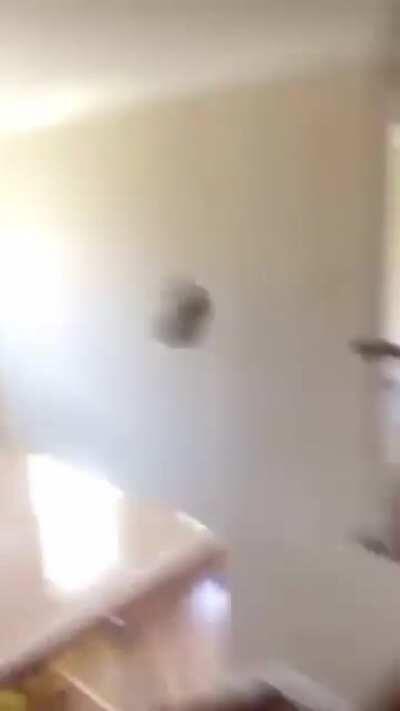 I feel this on an emotional level dudes