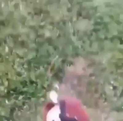 Dora Dora the cartel exportar