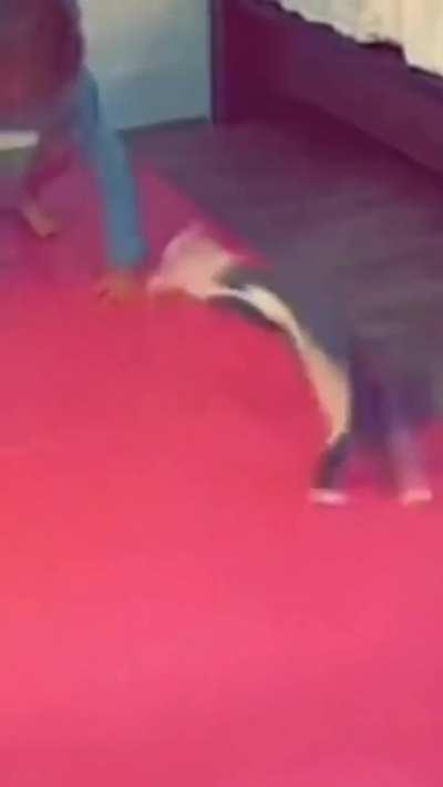 The Fall of the Feline