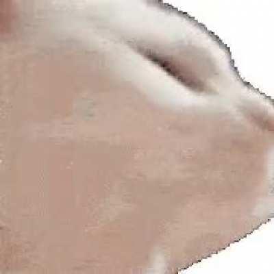 Have some catjam while getting some free karma :) <3