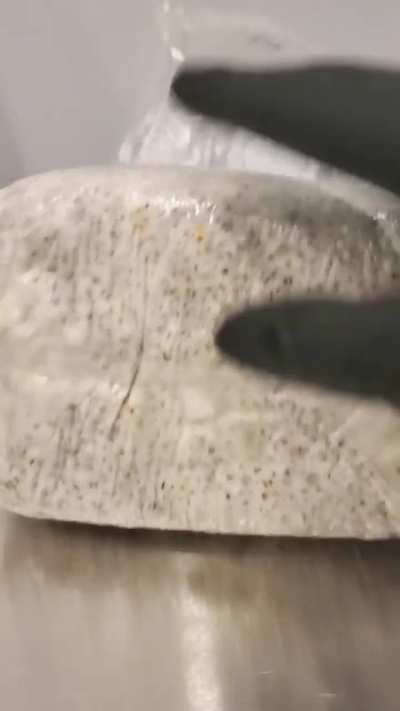 🇨🇦 PREMIUM COLONIZED GRAIN SPAWN | Ready to Bulk! | Richmond Hill / Vaughan & Canada-Wide 🇨🇦