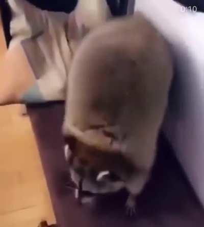 he seems kinda happy