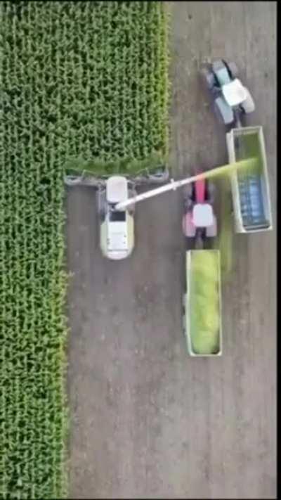 Синхронизация на 10 с 10 🔁