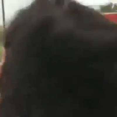 Ex pornstar gone crazy