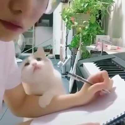 relationship goals .. a clingy cattoo ❤️