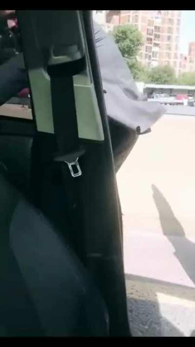 Rescatando al Firulais