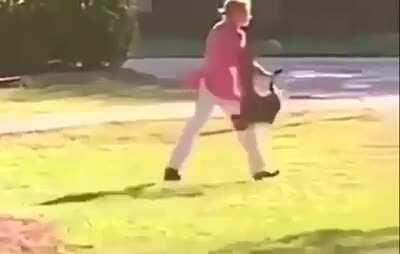 The wrong day. The wrong park. The wrong woman. The 14 second story of exactly how one goose fucked around and found out.