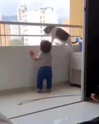 The way this cat is protecting.