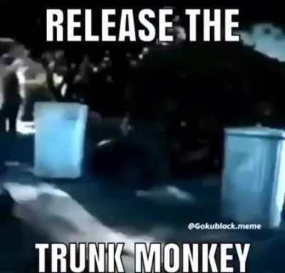 Monkey no want be in truck ooohhh ahhh ouuuu
