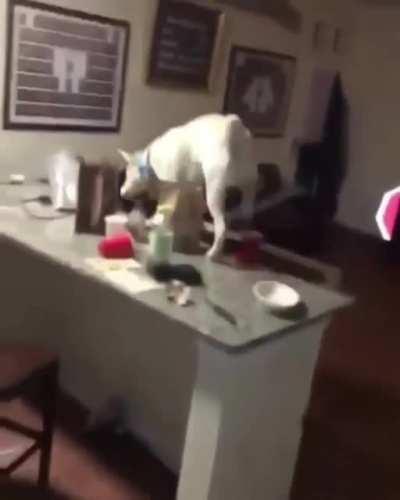 I threw it on the ground!