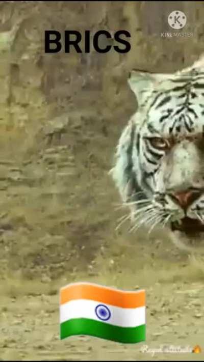 More BRICS copium on the way.