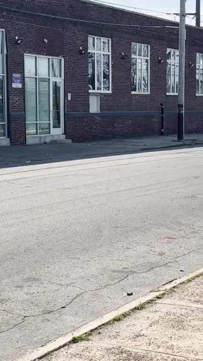 A massive swarm of yellow jackets blocking my main route to the gym