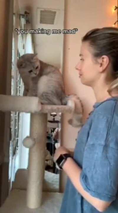 Annoying my cat