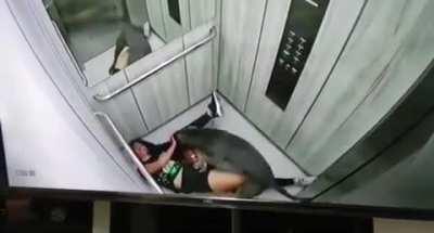 Pitbull attacks its own owner in a public elevator