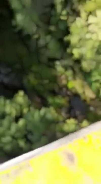 Please tell me this isn't real.