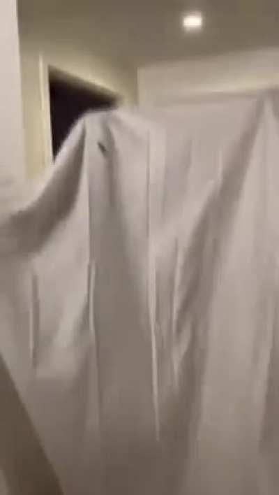 Phasmophobia after 10 hours of gameplay