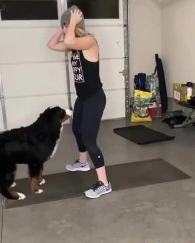 Фиг тебе, а не тренировка!