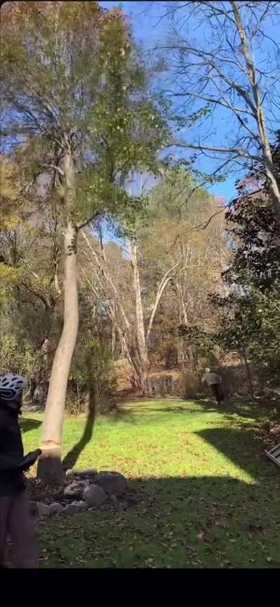 Good thing he’s wearing a helmet