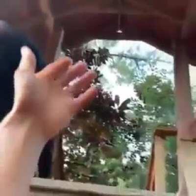 Probably was already posted here but here you go.