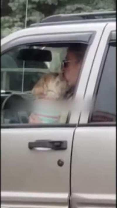 Some people real love their dogs