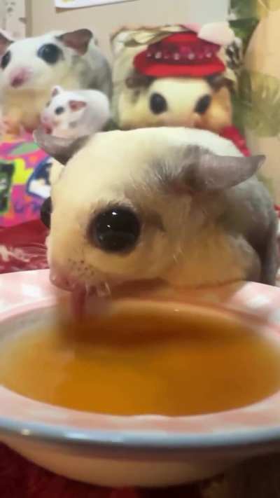 Could we please kill this thing