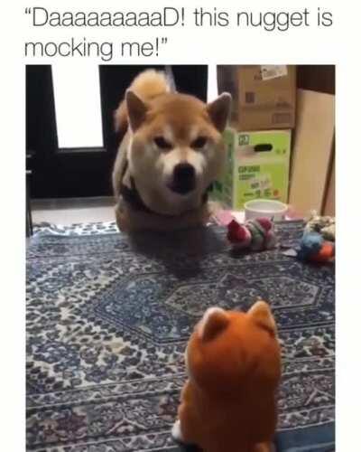 Lots of yelling and cussing