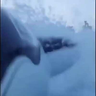 Camera man killed during shark attack