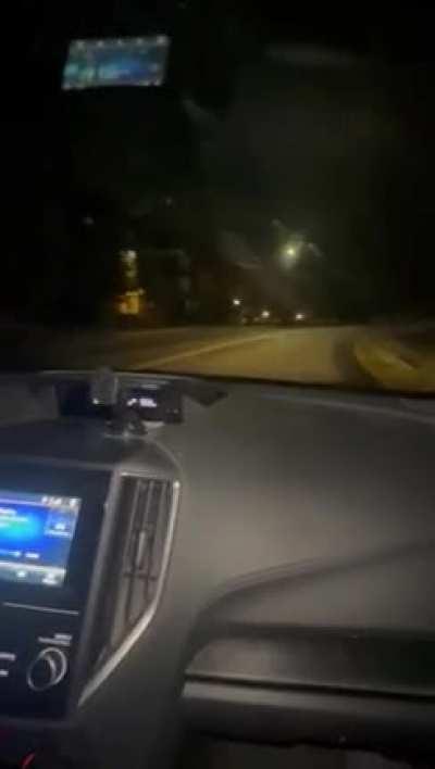 Cursed_Oak Tree Incident