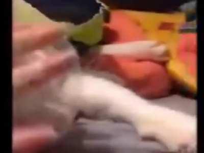 guys! watch this video for free ibo eshak real no fake anti fed f-15 leak document! (ibo eshak)