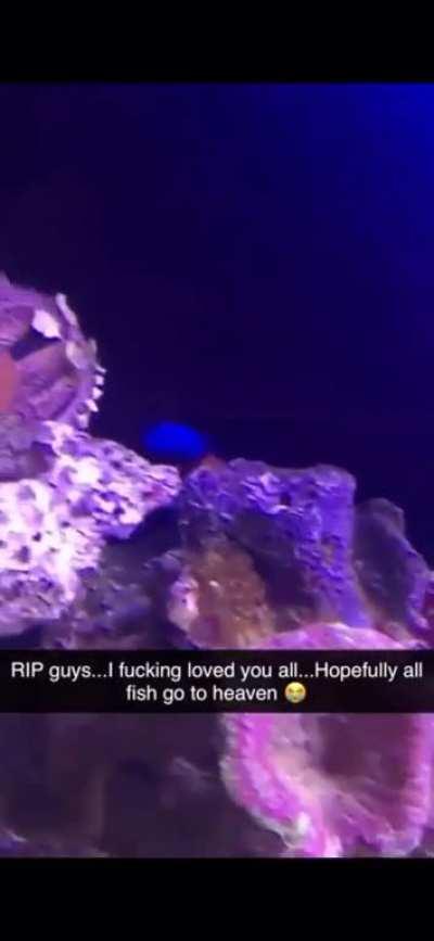 This guy’s ex-girlfriend destroyed his tank that he spent three years on and smashed his fish on the ground just to get his attention after breaking up. What a POS.