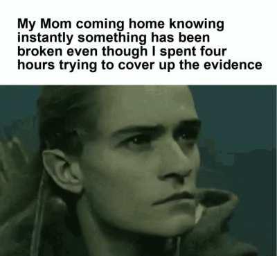 What do your Elf eyes see?