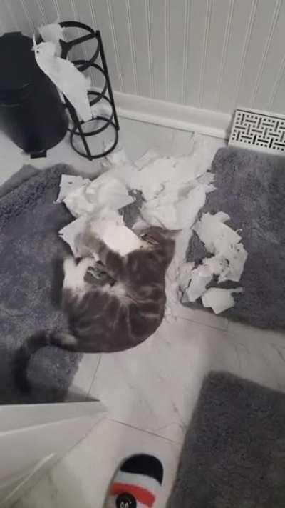 i left him unsupervised for 2 minutes