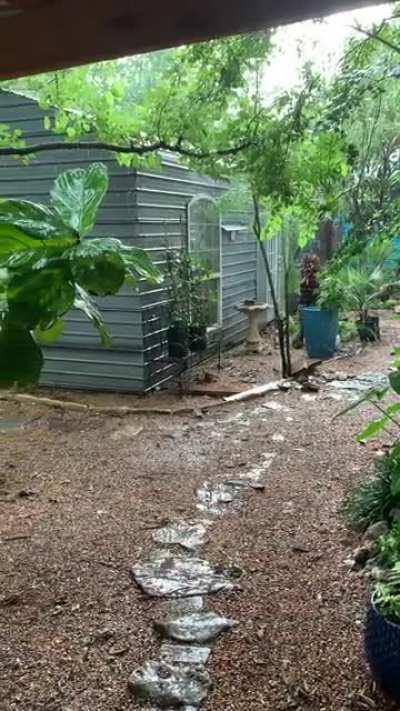 Recovering from hard winter in Texas.