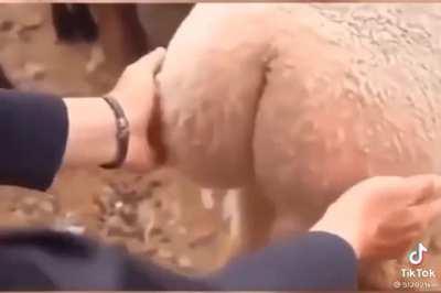 Found this on r/teenagers... don't do it