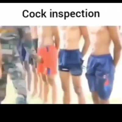 el inspector de p¡tos ejerciendo sus deberes de abeja reina 🚬🗿