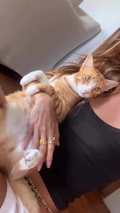 Orange kitty and Inka 