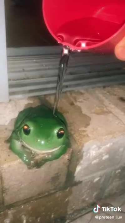 Hippy hoppity, get off my property