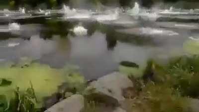 Its gonna hit him!!!